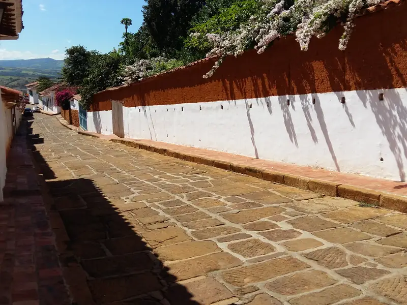 Calle empedrada de lajas entre una casa blanca y un muro largo, encalado abajo y color tierra arriba, con flores blancas que cuelgan sobre él