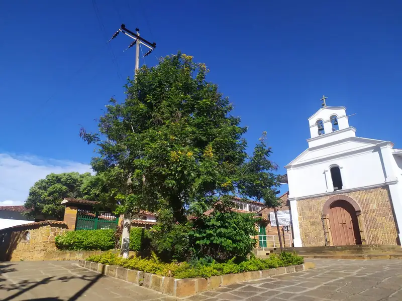 Capilla de fachada blanca con campanario de dos campanas, detrás de un árbol frondoso en una plazoleta de piedra