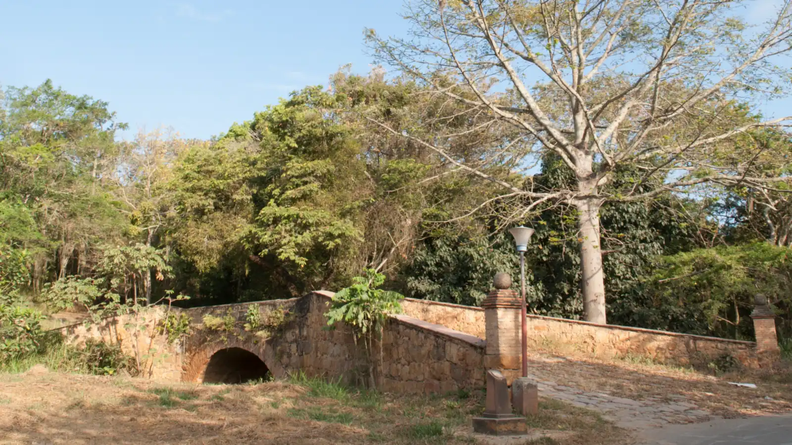 Puente de piedra de un solo arco, con muros de mampostería, un pilar con remate de bola y un farol, entre árboles verdes y uno sin hojas