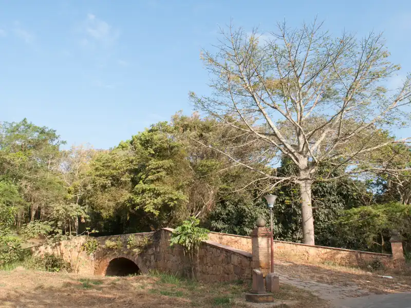 Puente de piedra de un solo arco, con muros de mampostería, un pilar con remate de bola y un farol, entre árboles verdes y uno sin hojas
