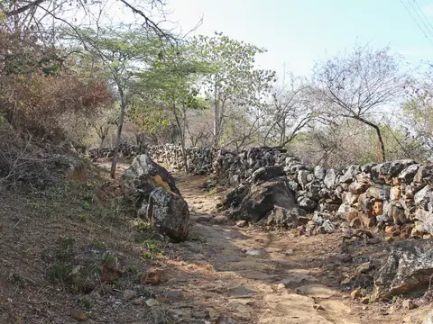 Tramo del Camino Real entre Barichara y Guane: piso de lajas y piedras sueltas entre un muro de piedra apilada y árboles de ramas secas