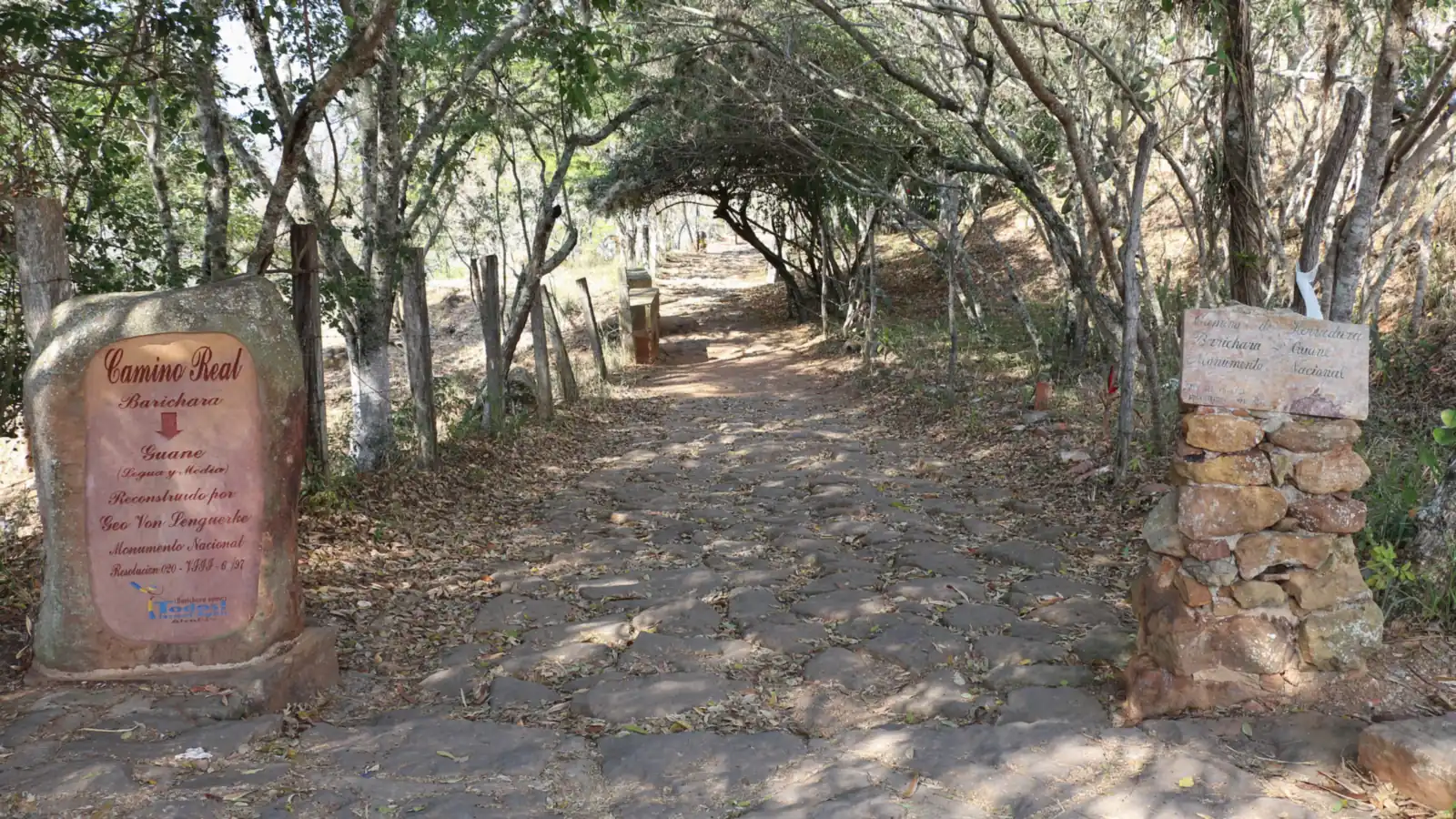 Arranque del Camino Real en Barichara: un empedrado ancho bajo un túnel de árboles, con un letrero de piedra a cada lado