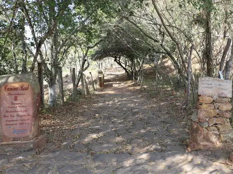Arranque del Camino Real en Barichara: un empedrado ancho bajo un túnel de árboles, con un letrero de piedra a cada lado